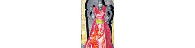 வெங்கனூர்